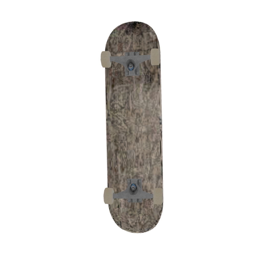 Skateboard 5