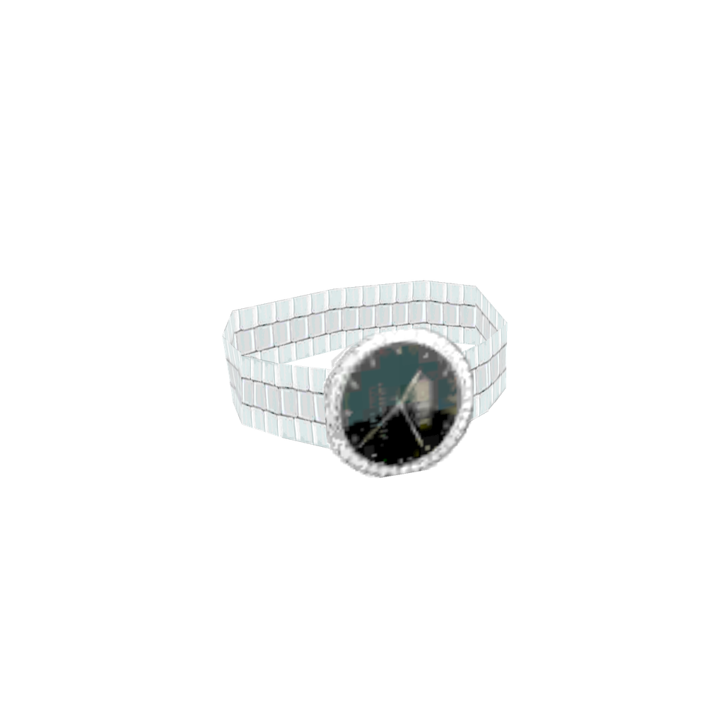 Silver Casio Watch