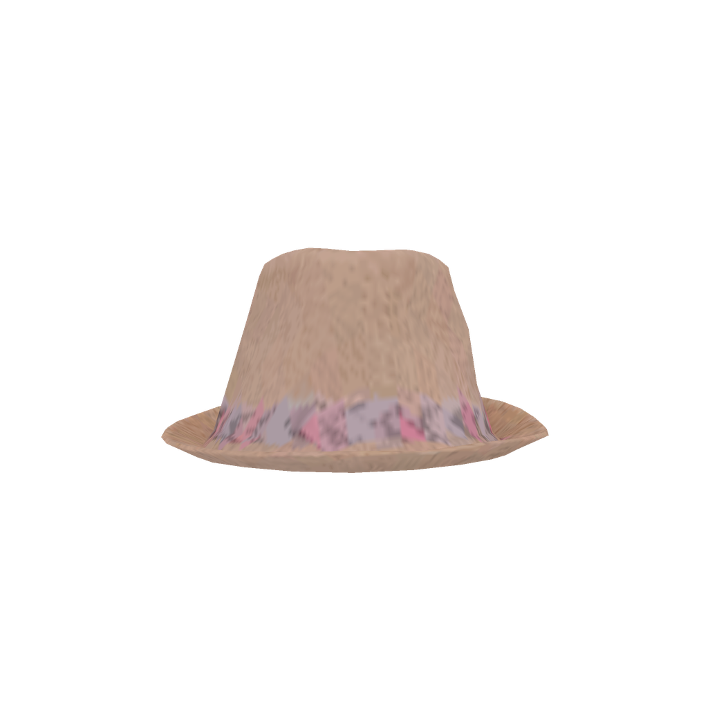 Summer Hat