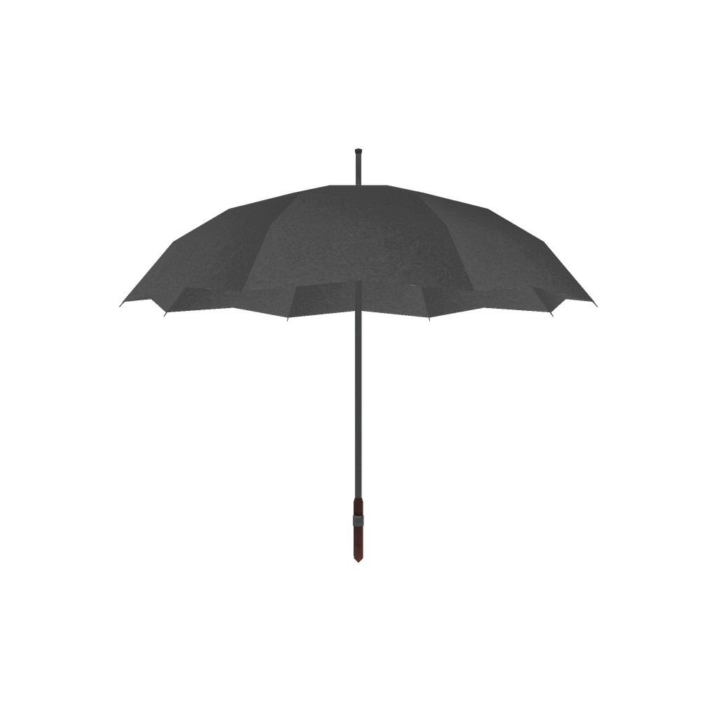 Gray-Black Umbrella