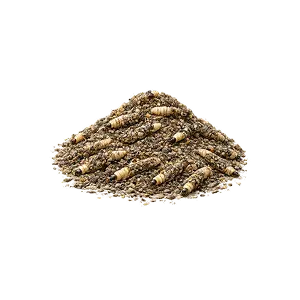 Bait: Caddisfly Larva