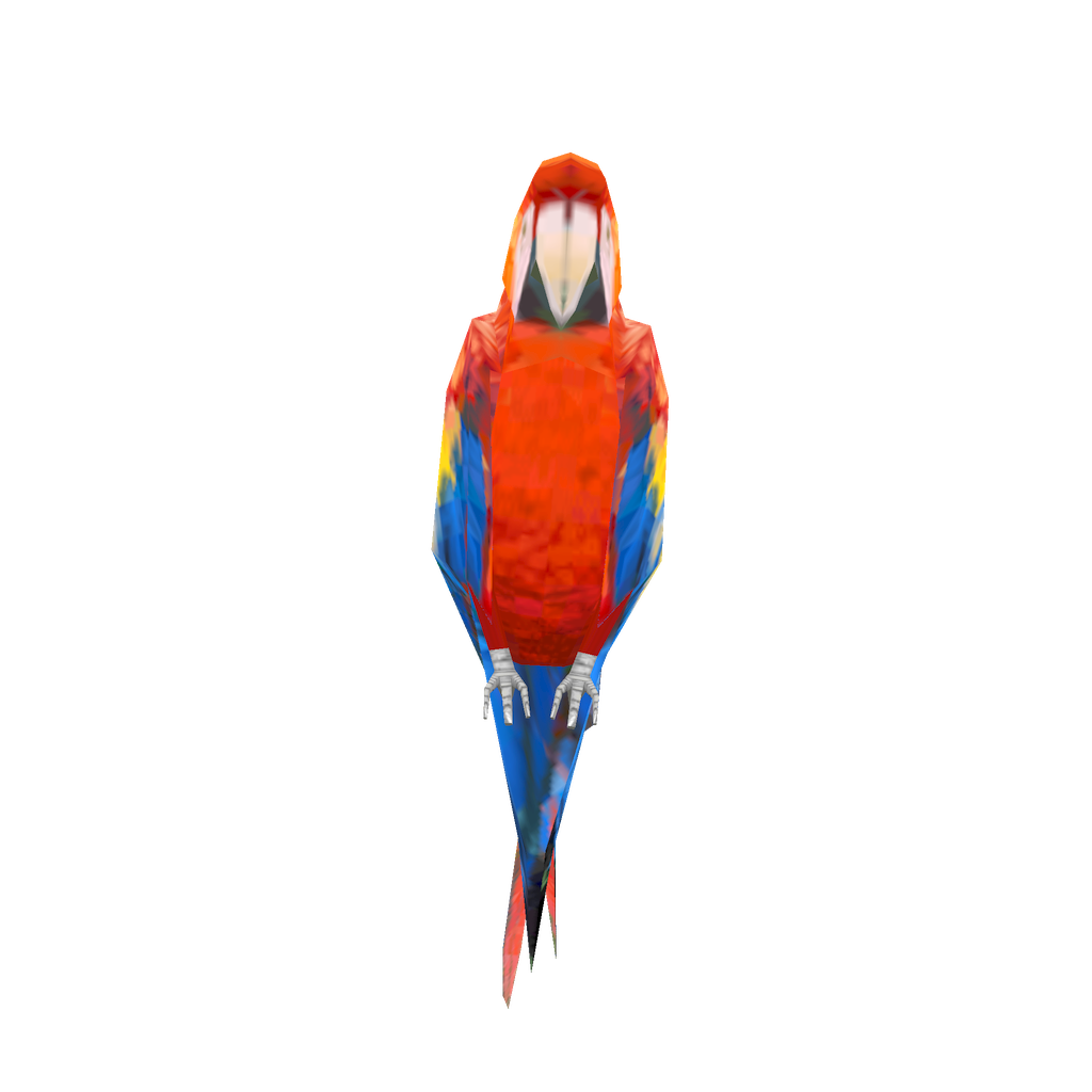 Kesha the Parrot