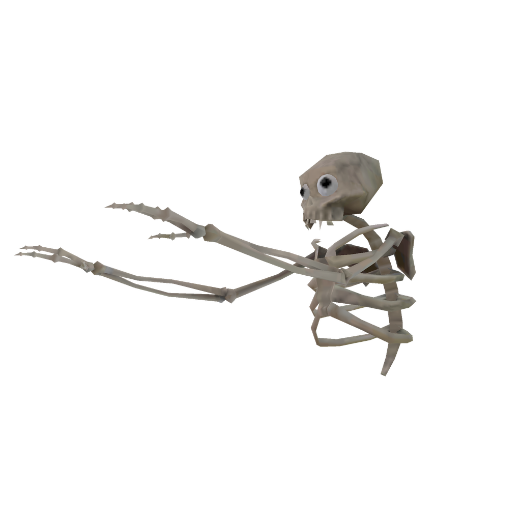 Skeleton