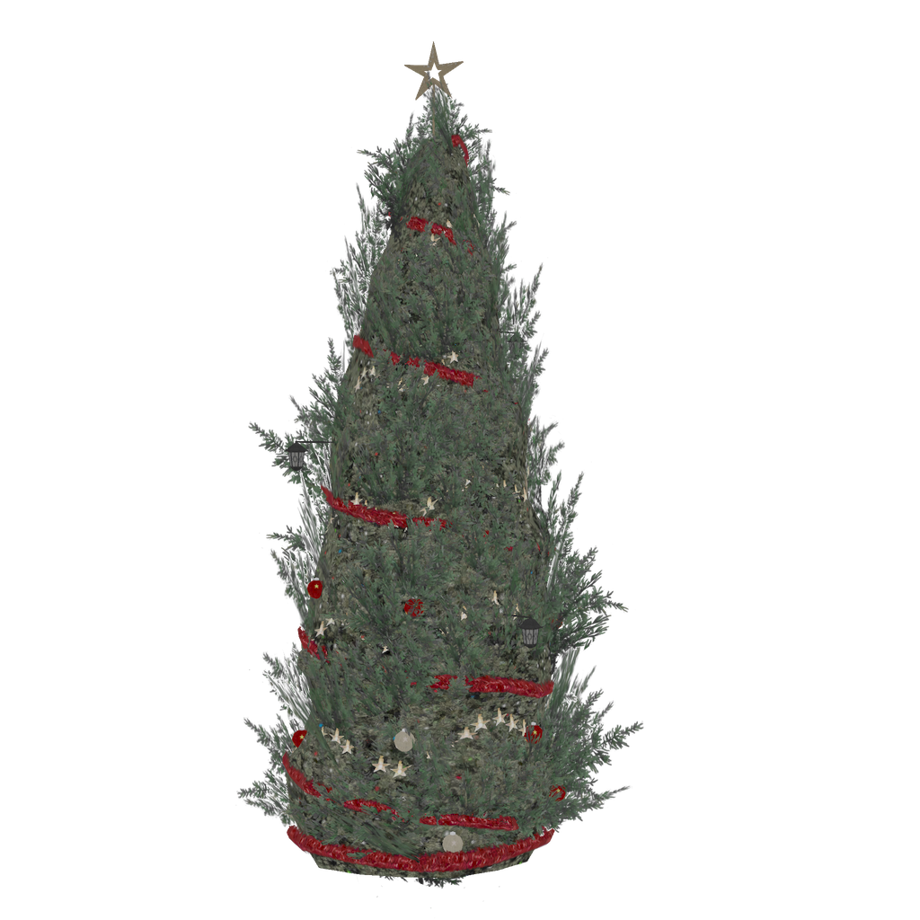 Christmas Thuja