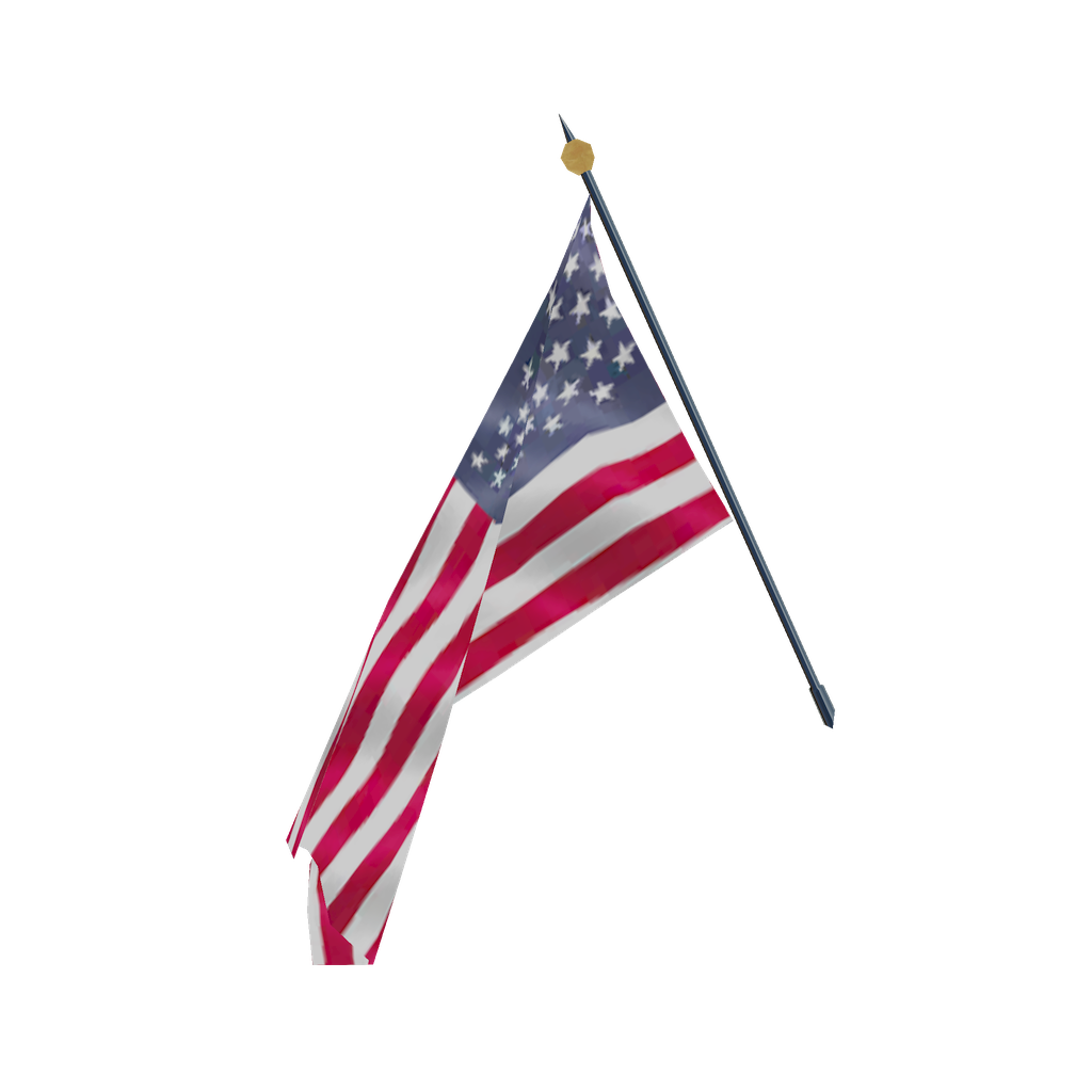 Flag of the USA