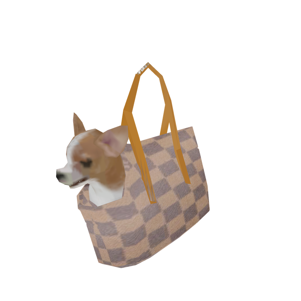 Chihuahua Bag