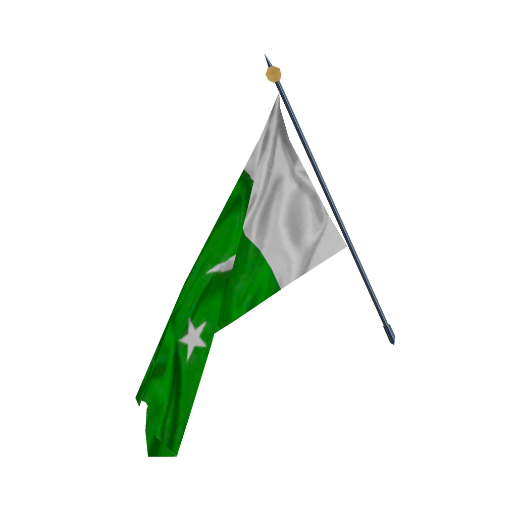 Pakistan Flag