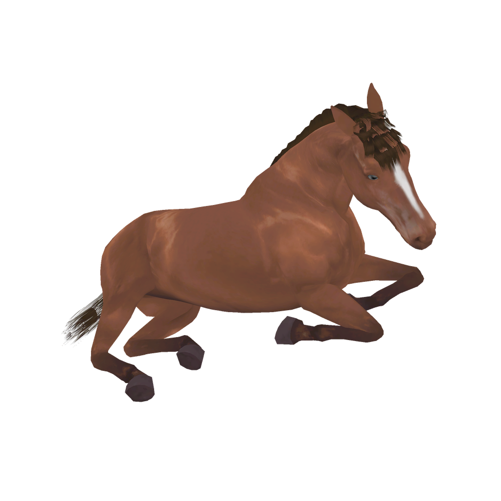 Little Horse