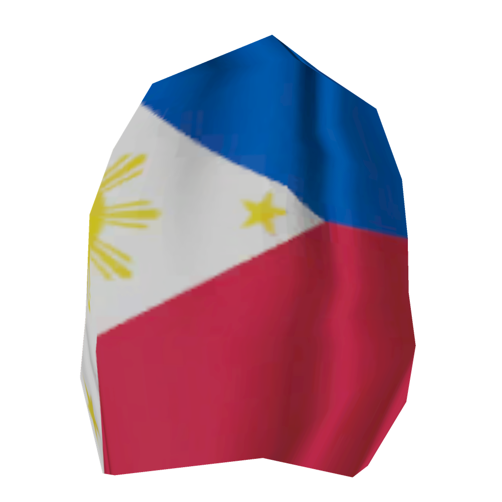 Flag Philippines on the back