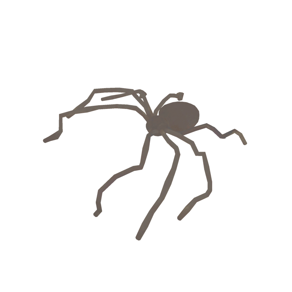 Halloween Spider