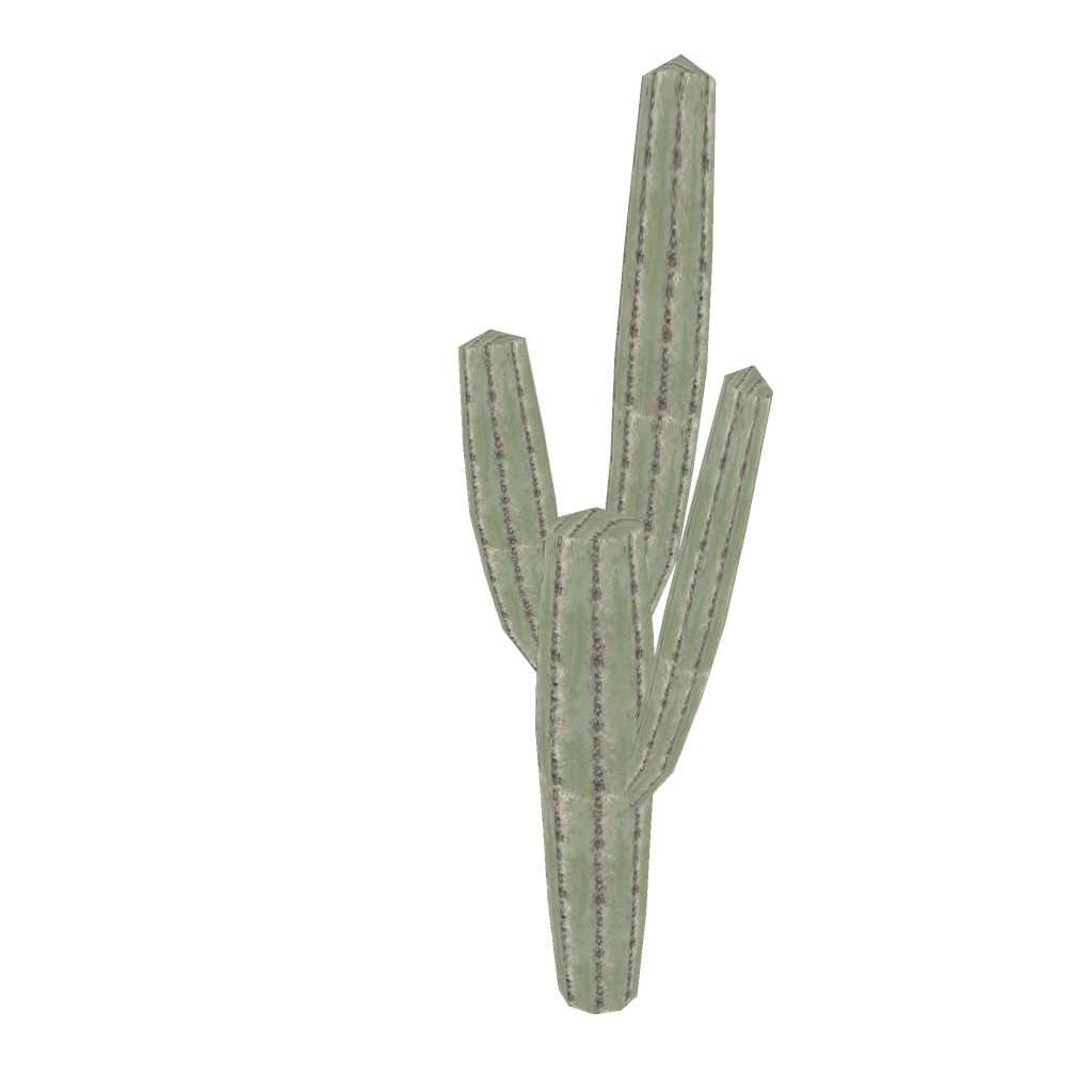 Cactus
