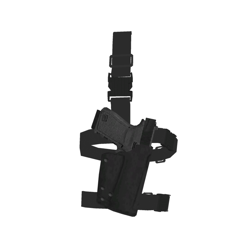 Holster