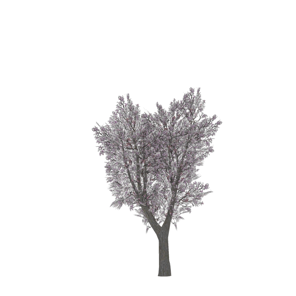 Pink Tree