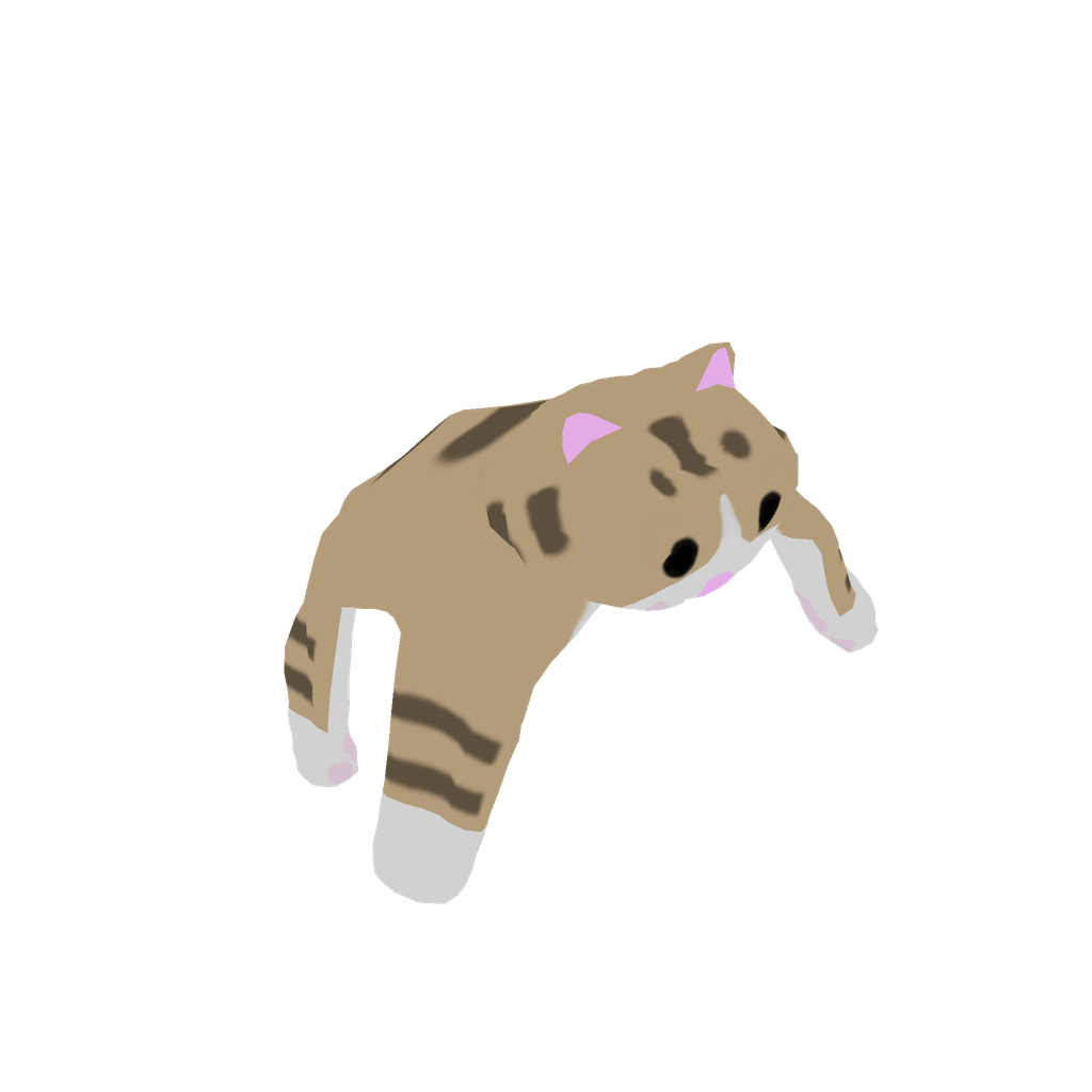 Cat Hat