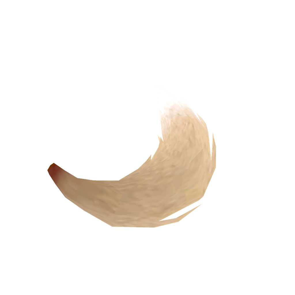 Fox Tail