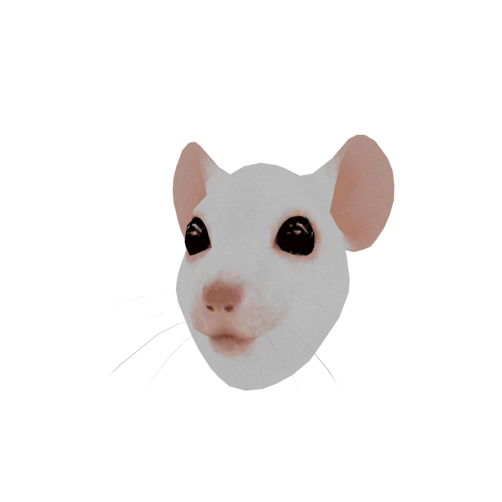 Rodent Mask