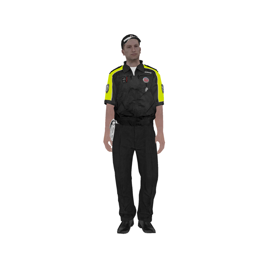 Summer DPS Senior Lieutenant