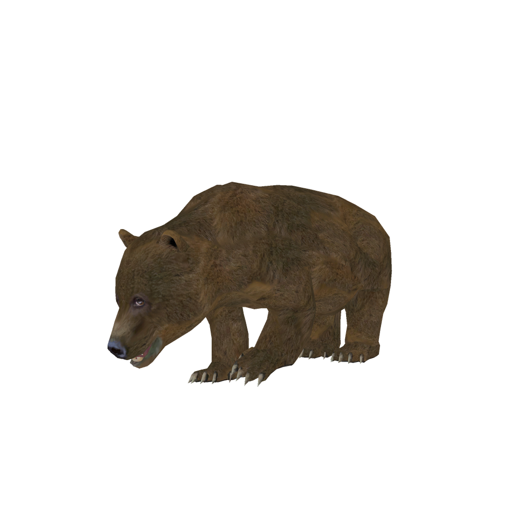Skin №426