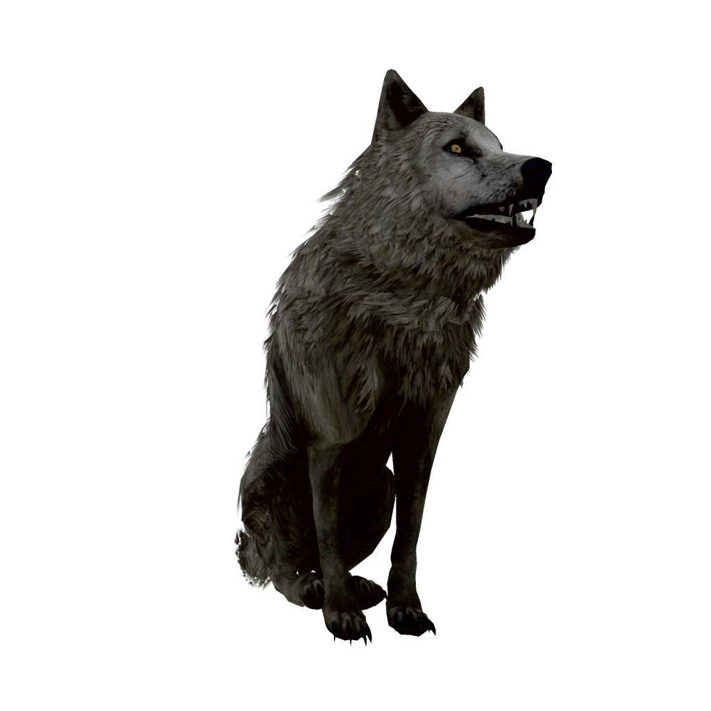 Skin №427