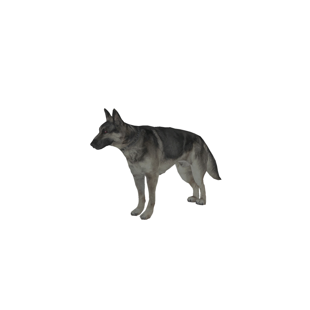 Skin №429