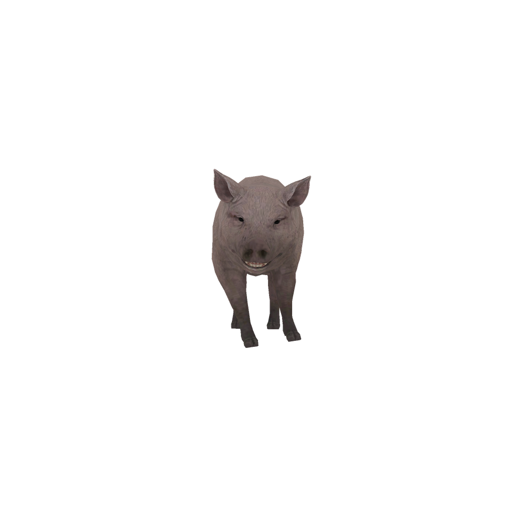 Piglet