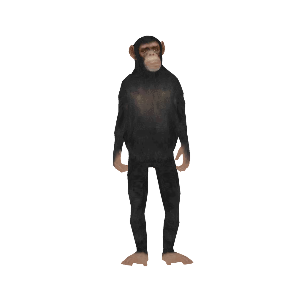 Monkey