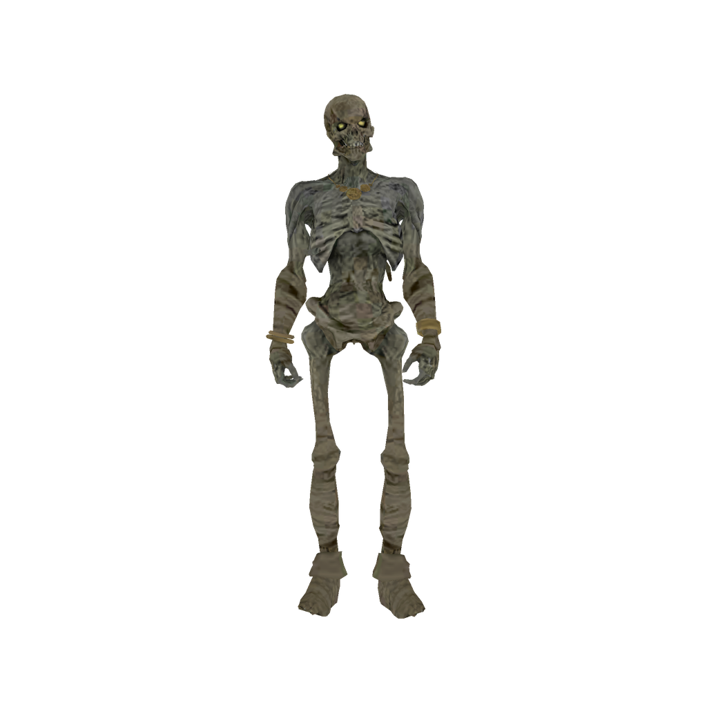 Skeleton